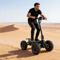 ATV Eléctrico Plegable de 19 Pulgadas y Alta Potencia con Tracción en las Cuatro Ruedas, Scooter Todoterreno de Largo Alcance para Playa, OEM ODM