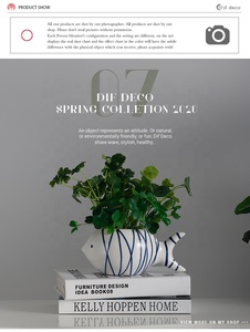 แปลกปลารูปร่างเซรามิกเป็นมิตรกับสิ่งแวดล้อมกระถางดอกไม้กระถางสำหรับเครื่องประดับบ้าน - Product Image 5