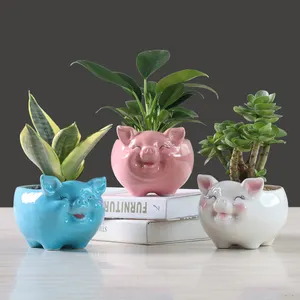 Fleshy flower pot simple pig shape ceramic hydroponic flower pot small flower pot