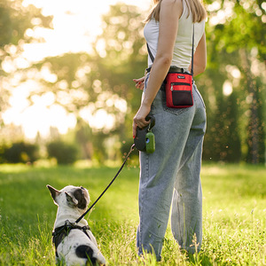 Köpek eğitimi için omuz/bel kayışı ile 2025 taşınabilir eller serbest ayarlanabilir % 100% Polyester köpek bakımı kese - Product Image 2