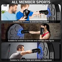 RS Electric Home Interactive Intelligent Music Boxing Target Trainer Dummy Punch Machine Wall-Mounted Smart Multi-Function Black