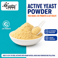 Poudre de levure active avec ≥80 % de cellules vivantes, microbes bénéfiques pour la colonisation intestinale animale et le soutien de la santé