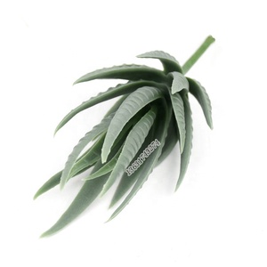 天然タッチフェイクフラワーミニ人工アロエベラ多肉植物ポットデコレーション用 - Product Image 5