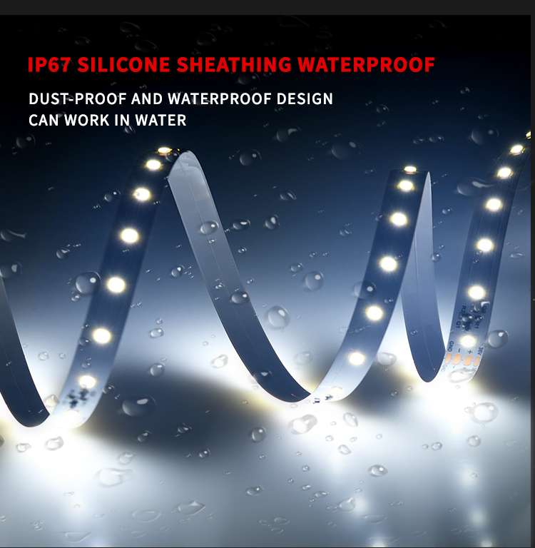 New Product CRI95 DC36V 8.8W 64leds/m 30m/reel SMD 2835 Flexible Led Strip and the Special Price