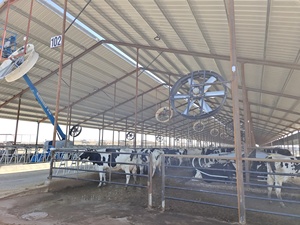 Hot Selling Poultry Suction Fan Solar Powered Poultry Farm Ventilation Fans Wall-Mounted Dairy Farm Cooling Fan - Product Image 4