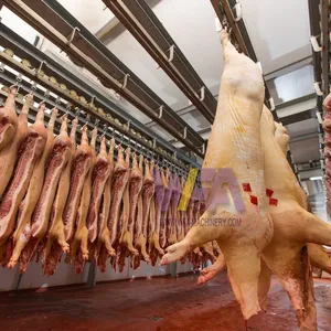 Domuz montaj hattı ekipmanları domuz işleme makinesi için günde 100 kafa domuz mezbaha ekipmanı