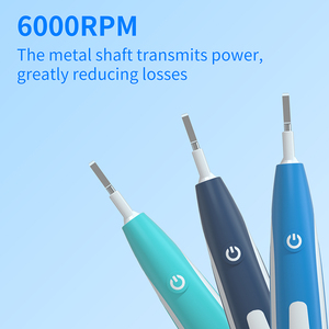 Fabbrica all'ingrosso <span class=keywords><strong>Spazzolino</strong></span> <span class=keywords><strong>elettrico</strong></span> a <span class=keywords><strong>testine</strong></span> rotanti compatibile con lo <span class=keywords><strong>spazzolino</strong></span> <span class=keywords><strong>elettrico</strong></span> per adulti <span class=keywords><strong>B</strong></span> <span class=keywords><strong>Oral</strong></span> - Product Image 3