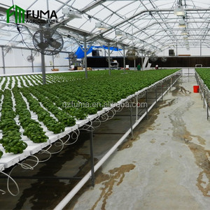 Sistema Hidropónico de Cultivo Vertical para Plantas de Interior con Tecnología de Ahorro de Agua FM Healthy NFT, Grado Alimenticio, Gran Venta - Product Image 4