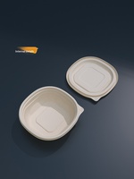 Premium Moderne 450ml 140x140x53mm 148x148x48mm Vierkante Bakje met Deksel Robuust Eetbaar Verpakking Lekvrij Eenhoudig Verbruiksartikel
