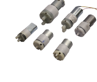 DC 3V 6V Mini pompe liquide haute pression 200-500ml Micro distributeur d'eau pompe à membrane d'eau propre avec personnalisation OEM