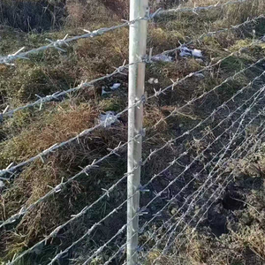 Bảo mật cao mạ kẽm thép gai cuộn dây hàng rào cho nông nghiệp bảo vệ chu vi dân cư chống ăn mòn - Product Image 4