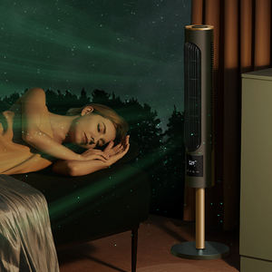 <span class=keywords><strong>Ventilateur</strong></span> de sol 50000mAh 4 vitesses <span class=keywords><strong>Ventilateur</strong></span> tour super <span class=keywords><strong>silencieux</strong></span> <span class=keywords><strong>ventilateur</strong></span> sans lame écran tactile climatiseur <span class=keywords><strong>purificateur</strong></span> d'air anionique à distance - Product Image 5