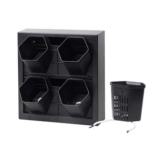 Marco <span class=keywords><strong>de</strong></span> fotos <span class=keywords><strong>de</strong></span> plantas <span class=keywords><strong>de</strong></span> <span class=keywords><strong>plástico</strong></span> montado en la pared ecológico, maceta, decoración interior y exterior, pared <span class=keywords><strong>de</strong></span> planta tridimensional Simple - Product Image 2