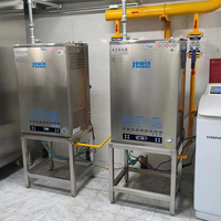Chaudière générateur de vapeur industrielle à gaz naturel en acier inoxydable haute efficacité 70 kg/h, usage commercial pour la transformation alimentaire