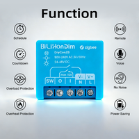 Interrupteur intelligent Zigbee Bilihondim à montage mural 200W 1A compatible Google Home Alexa 1 canal portée 30m installation facile