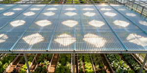 גליונות קירוי פרפ עמידים לחום מסורתי למבנים חקלאיים תעשייתיים ומערכות סקיילייט - Product Image 6