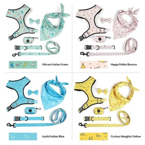 Set Sei Pezzi per Cani <span class=keywords><strong>2026</strong></span>: Guinzaglio, Pettorina, Cinturino, Fiocco, Sacchetto per Rifiuti Estensibile Stampato, Foulard Quadrato e Collare - Vendita Diretta dalla Fabbrica - Product Image 4