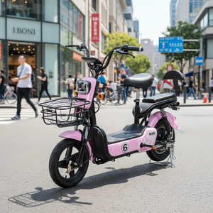 Bicicleta Eléctrica de 14 Pulgadas con Motor Trasero sin Escobillas de 48V y Batería de Plomo-Ácido, 350W, Sensor de Alta Velocidad, Cuadro de Acero, 3 Velocidades y Suspensión Completa - Product Image 1