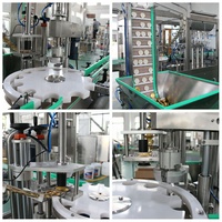 Machine de bouchage entièrement automatique pour bocaux en verre de sauce tomate, machine de scellage de bouteilles de confiture et de sucre avec élévateur de bouchons