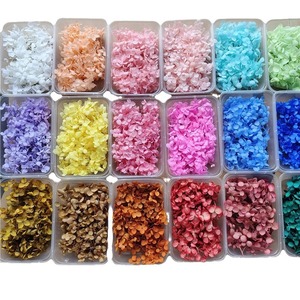 Cornice Fotografica in Vetro con Fiori Secchi di Ortensia Anna, Decorazione Artigianale di Alta Qualità, Fiori Veri 5G - Product Image 5