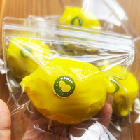 Jouet sensoriel anti-stress en silicone OEM/ODM en forme de citron mignon, idéal pour les fêtes et la relaxation