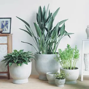 Best selling indoor outdoor plant pots home garden floor large concrete fiberglass flower pots molds