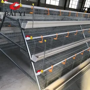 Jaulas de batería automáticas para granja de pollos, gallinas ponedoras para equipos de aves de corral