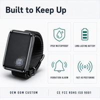 Traceur GPS pour animaux de compagnie avec logo personnalisé, suivi en temps réel 4G GPS WiFi LBS, localisateur pour chat et chien, OEM ODM, étanche, CE FCC, sans frais mensuels