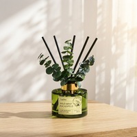 Diffuseur de parfum d'ambiance haut de gamme TopOne longue durée 90 jours, menthe sauvage et eucalyptus, pour spa, chambre et décoration