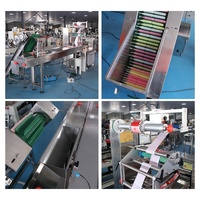 Voll automatischer Durchfluss Horizontale Verpackung Einfrieren Ice Pop Bar Kunststoff Lolly Tubes Einzel beutel Versiegelung kissen Verpackungs maschine