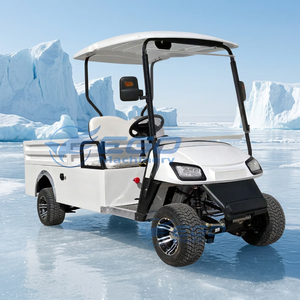 Autos Nuevos, Camiones de Carga, Transporte Especial, Auto Eléctrico Económico, Carro de Golf, Buggy Blanco para Golf, Auto Turístico/Buggy Eléctrico - Product Image 4