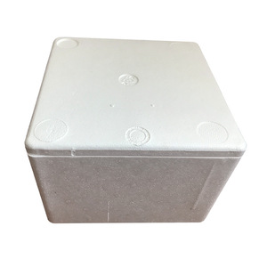 Boîte en mousse Wangwang Consulting 26,8x26,8x19,5 cm, emballage alimentaire isotherme pour la logistique - Product Image 3