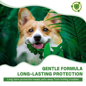 Suplemento Nutricional <span class=keywords><strong>para</strong></span> Mascotas ODM/OEM, Polvo <span class=keywords><strong>Desparasitante</strong></span> <span class=keywords><strong>para</strong></span> <span class=keywords><strong>Perros</strong></span> y Gatos <span class=keywords><strong>para</strong></span> el Cuidado de la Salud, Envasado en Botellas, Suplementos Herbales - Product Image 2