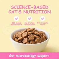 Compléments alimentaires personnalisés pour animaux de compagnie avec probiotiques, prébiotiques, fibres, soutien de la microécologie intestinale, soins pour la croissance des chatons, friandises à mâcher