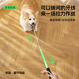 Nuevo juguete para perros, juguete interactivo para perros, palo de entrenamiento para mascotas, artículo popular de exportación. - Product Image 1