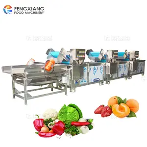 Fruit and Vegetable cleaning Sorting Machine for Selection and preparation of fruits machines line