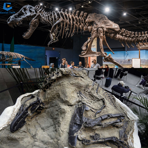 <span class=keywords><strong>Esqueleto</strong></span> de <span class=keywords><strong>dinosaurio</strong></span> de tamaño <span class=keywords><strong>real</strong></span> para parque temático, <span class=keywords><strong>esqueleto</strong></span> de <span class=keywords><strong>dinosaurio</strong></span> fósil jurásico, de tamaño <span class=keywords><strong>real</strong></span>, a partir de 2017 - Product Image 4