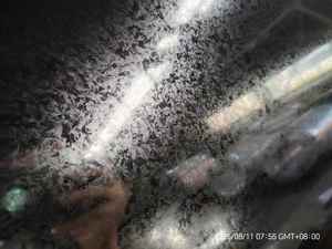 Çin <span class=keywords><strong>Shandong</strong></span> Önceden Boyalı Galvalume Çelik Ürünleri <span class=keywords><strong>PPGI</strong></span>/PPGL Renkli Kaplamalı Galvanizli Çelik Rulo Çatı Kaplaması İçin Rekabetçi Fiyat - Product Image 5