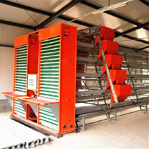 Jaula para Gallinas Ponedoras Tipo A de 3 y 4 Niveles Galvanizada por Inmersión en Caliente con Sistema de Bebedero Automático para Equipo de Granja Avícola - Product Image 3