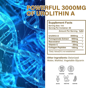 Julong OEM Urolithin A Flüssige Tropfen, Unterstützung gegen Alterung und für Mitochondrien, Urolithin A Flüssigkeit 60ml Granatapfelextrakt Urolithin A Tropfen - Product Image 2