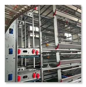 Meilleure Qualité Bon Prix Oeufs Poules Pondeuses Élevage De Poulets Poulailler Batterie Cage à vendre - Product Image 4