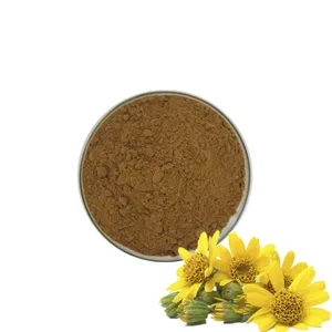 Kualitas Tinggi Ekstrak <span class=keywords><strong>Arnica</strong></span> Montana Bubuk <span class=keywords><strong>Arnica</strong></span> Montana Bubuk Bunga <span class=keywords><strong>Arnica</strong></span> Montana - Product Image 1