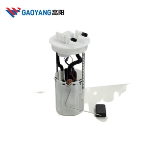 GAOYANG Fabrik Großhandel Elektrische Kraftstoffpumpen-Baugruppe OE A13-1106610 für <span class=keywords><strong>MVM315</strong></span> - Product Image 3