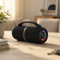 BKK / OEM 26W IPX6 Enceinte portable avec lumière RGB pour fêtes en extérieur