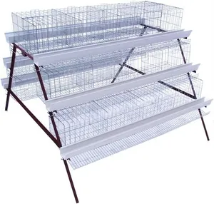 Hot Galvanized Cages A Type Layer Cages System Poultry Farming Equipment