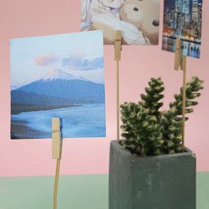 Épingles <span class=keywords><strong>à</strong></span> <span class=keywords><strong>linge</strong></span> en bois naturel épaissies écologiques pour le bricolage artisanal et le maintien du <span class=keywords><strong>linge</strong></span> - Product Image 4