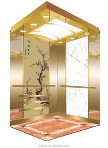 Elevador de pasajeros de lujo, 1,0 m/s, 630kg, piezas de elevador, cabina de elevación para sal - Product Image 2
