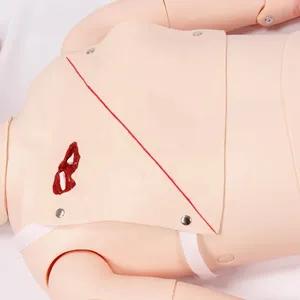 DARHMMY高度な完全機能医療科学外傷トレーニングのための外傷ケアマネキン - Product Image 4