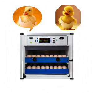 Incubadora automática profesional con control de humedad inteligente y monitoreo LED para avicultura - Product Image 4