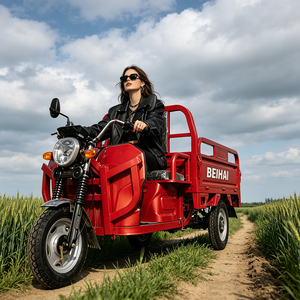 Triciclo Elettrico Passeggeri <span class=keywords><strong>a</strong></span> <span class=keywords><strong>Tre</strong></span> Ruote BEIHAI 2026 Economico Mini Scooter 60V 2000W per Adulti - Product Image 4